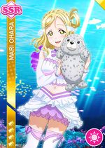 Mari smile ssr1394 t.jpg