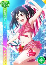 Nico pure ur127 t.jpg