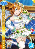 Honoka cool ssr1060 t.jpg